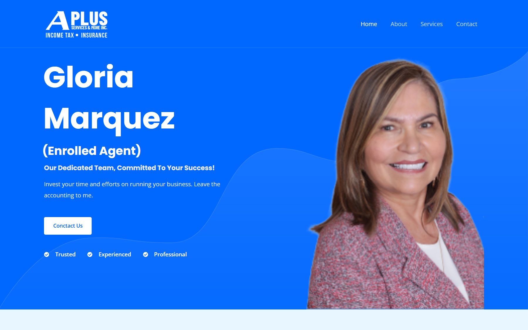 A Plus Services and More website homepage