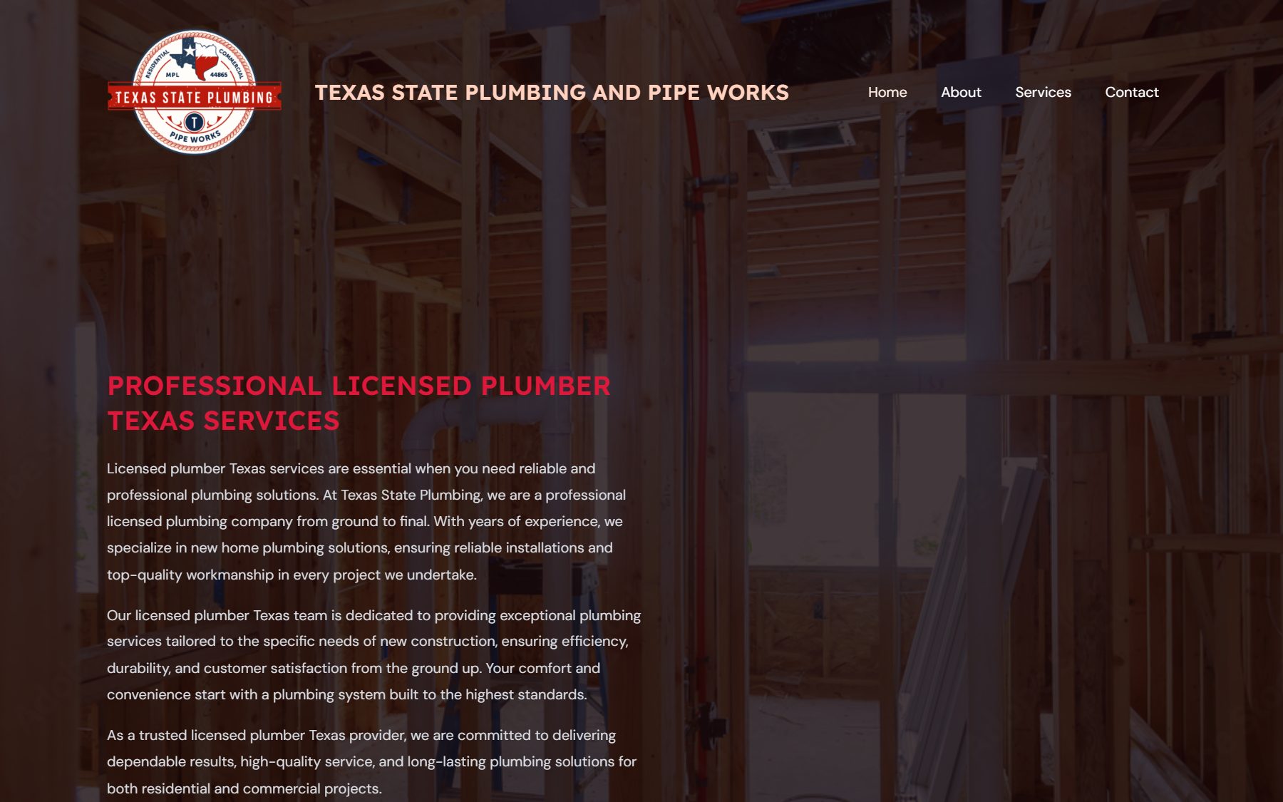 Texas State Plumbing and Pipe Works website homepage